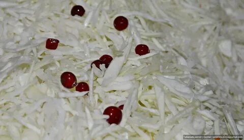 Капуста маринованная быстрого приготовления с клюквой