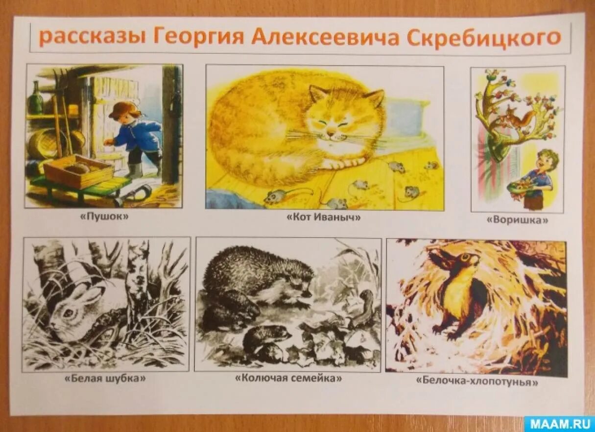Рассказ скребицкого кот иваныч. Кот иванович скребицкий. иллюстрации к произведениям скребицкого. скребицкий кот иваныч.