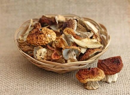 Грибы коралловые сушеные