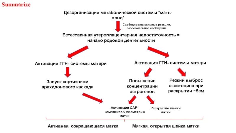 Выраженная дезорганизация. Запуск родовой деятельности. Причины наступления родовой деятельности. Механизмы запуска родов. Активация родовой деятельности.