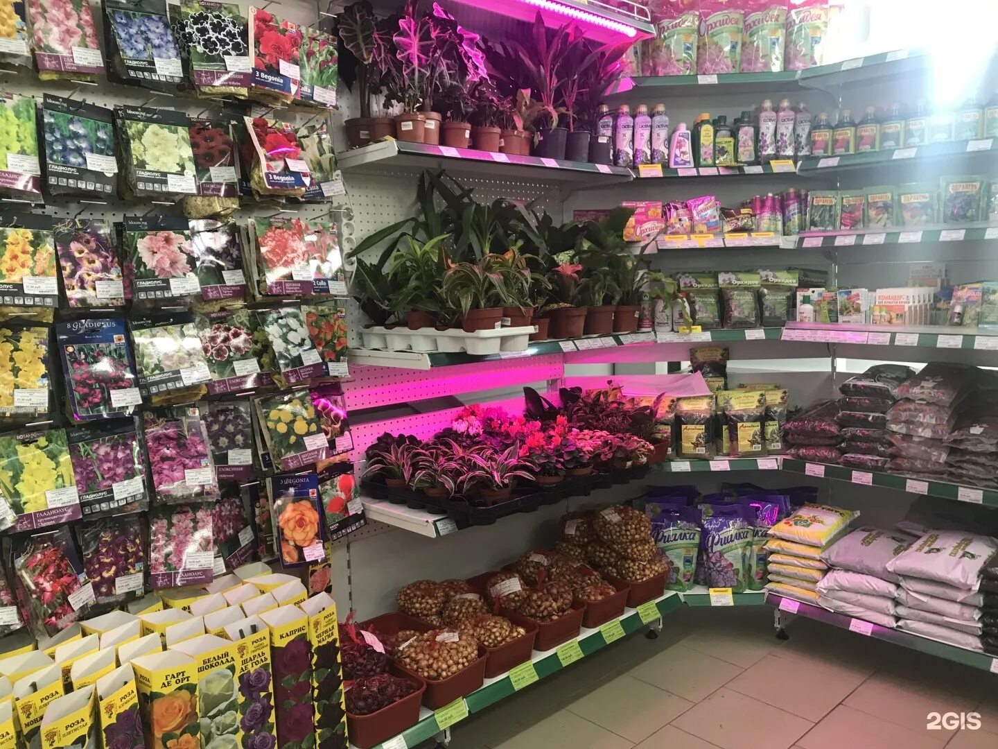 магазин часов новоалтайск. магазин садовод в новоалтайске. магазин часов новоалтайск. вывеска автосервис шиномонтаж. квартет вкусов барнаул.