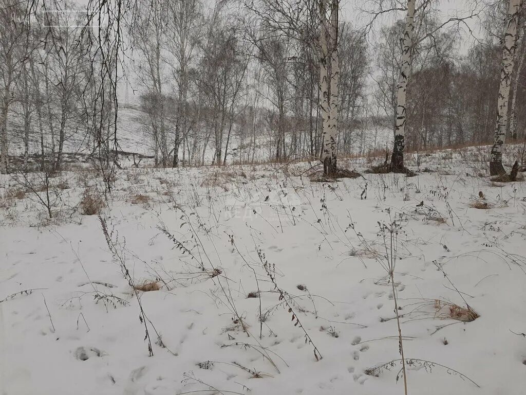 посёлок солонцы красноярский край. солонцы красноярск. п солонцы красноярский край. посёлок солонцы красноярский край. солонцы красноярск на карте.