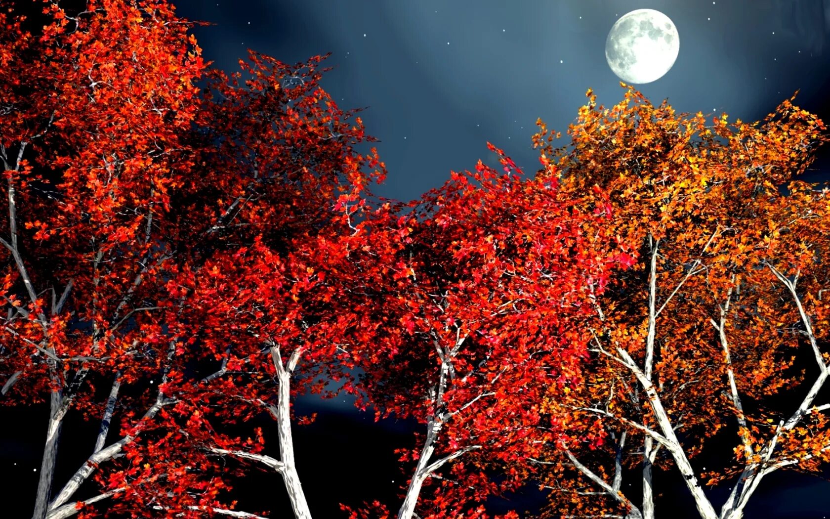 Деревья осенью ночью. Ночной осенний парк. Ночь осенью. Деревья осенью ночью. Vesennyaya luna.