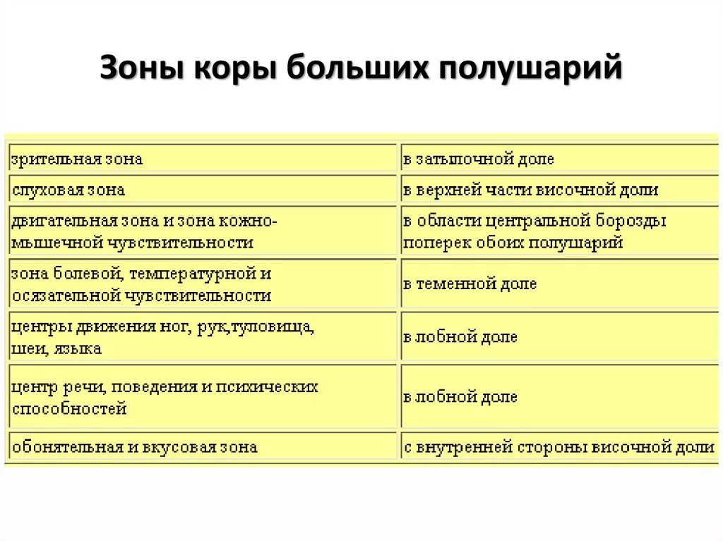 Функции долей коры головного мозга таблица. Зоны коры больших полушарий мозга таблица. Зоны больших полушарий и их функции. Блица зоны коры больших полушарий большого мозга.