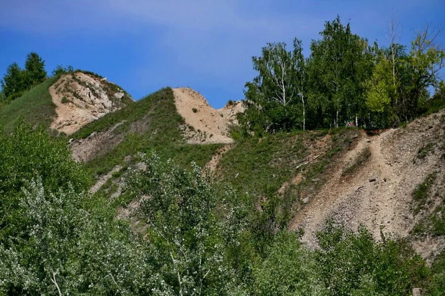 Царёв Курган Курганская область. Царева городища Курган. Курган Царево Городище холм. Природа Кургана и Курганской области. Лк курган