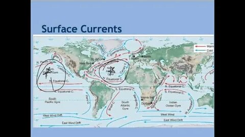 Abiotic Factors - Upwelling and Currents - YouTube