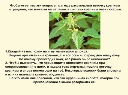 Ожог крапивой чем помазать