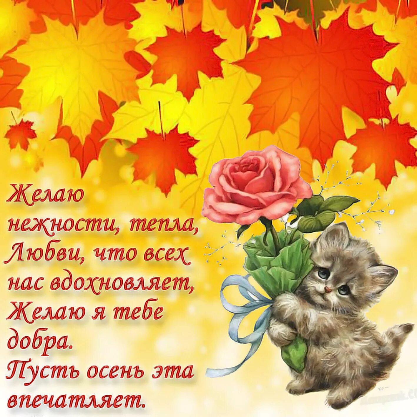 Happy autumn morning ! We wish you well. Have a great time in the morning: Favor