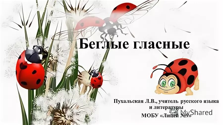 Беглые гласные от кого бегут