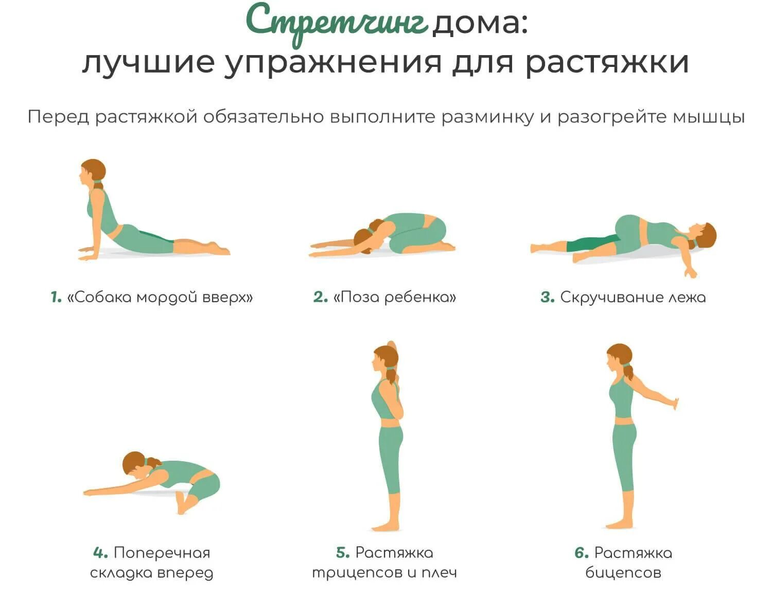 Растяжка уроки для начинающих. Упражнения на спину. Комплекс упражнений на растяжку. Упражнения для разминки спины. Упражнения на спину дома.