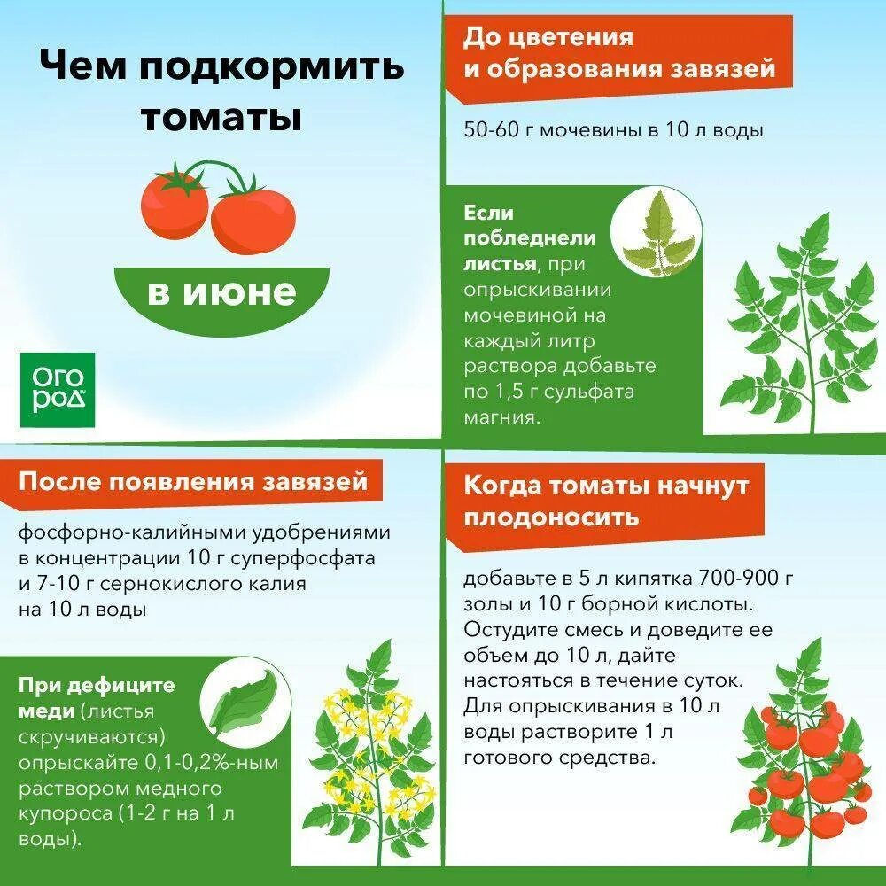 Как часто подкормить