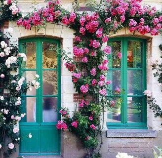 Door roses