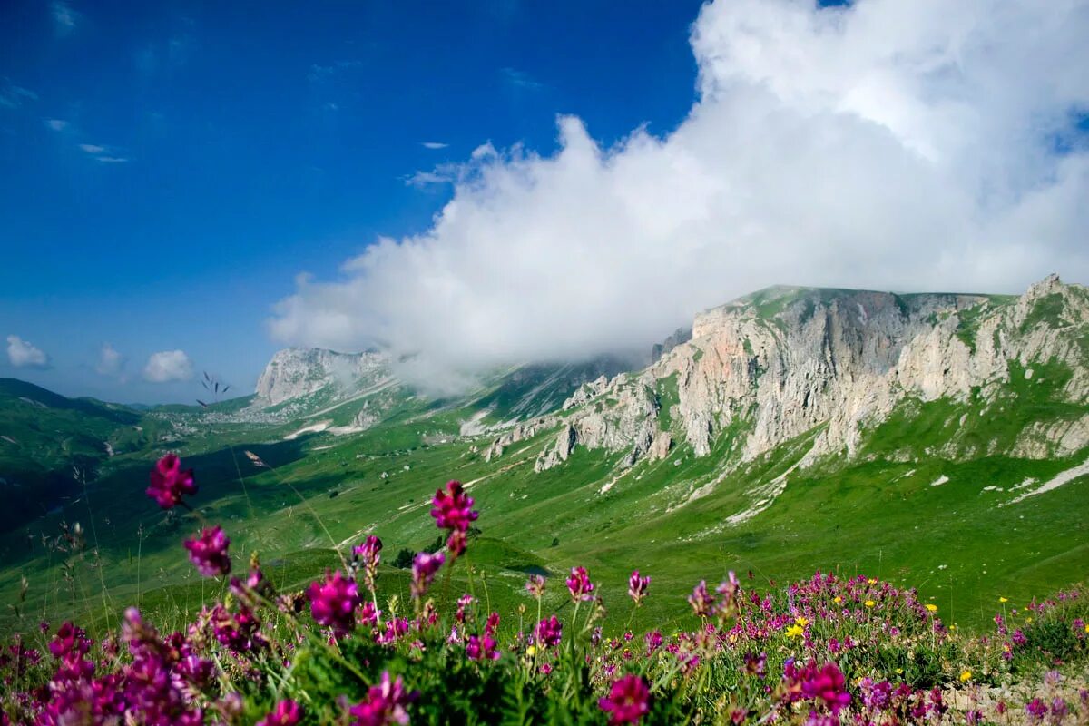 Адыгея 44 широта отель. Дорога гузерипль лагонаки. 44 shirota горького, 11, даховская, даховская, russia. Горное настроение даховская лаго наки. Широта адыгея.