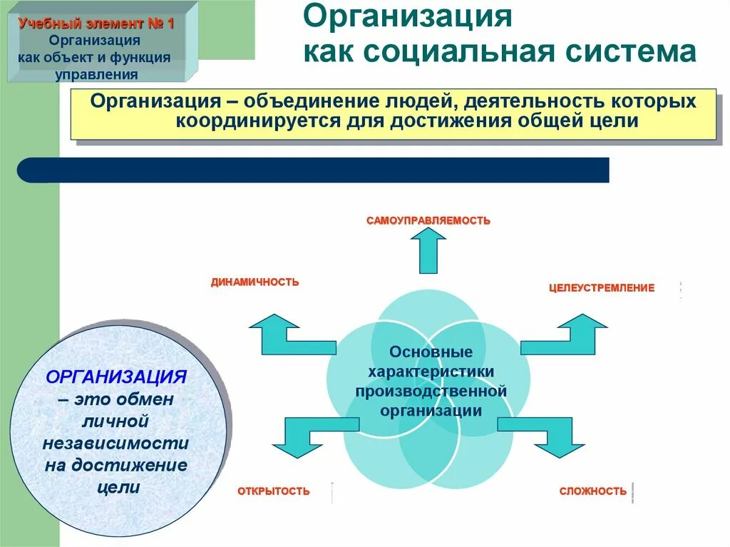Объединение лиц для достижения общей. Фирма как социальная система. организация как социальная система картинки. организация как объединение людей. социальные системы и организация почему.