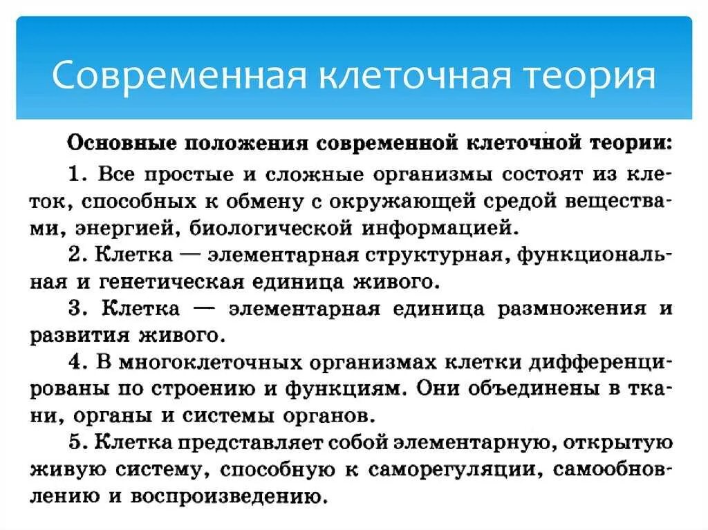 Современная теория строения. Понятие клетки и основные положения клеточной теории. Основные понятия современной клеточной теории. 3. Основные положения клеточной теории. Современная клеточная теория.