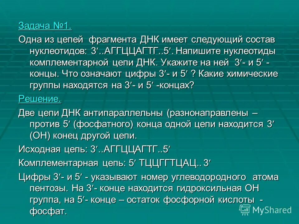 Что обозначает фрагмент