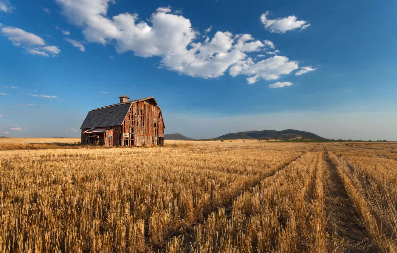 Old field