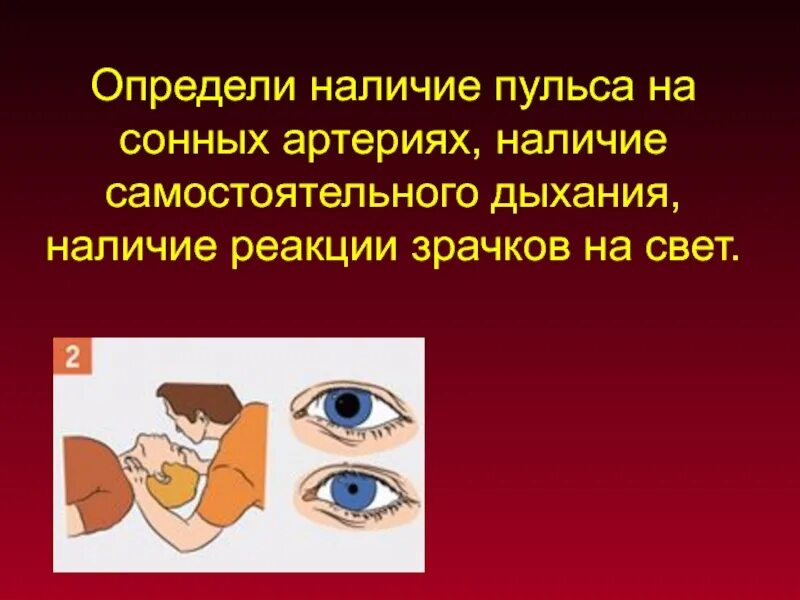 Правила определения сознания и самостоятельного дыхания. Реакция зрачков на свет. Определение наличия самостоятельного дыхания. Определение наличия самостоятельного дыхания. Определение наличия самостоятельного дыхания.