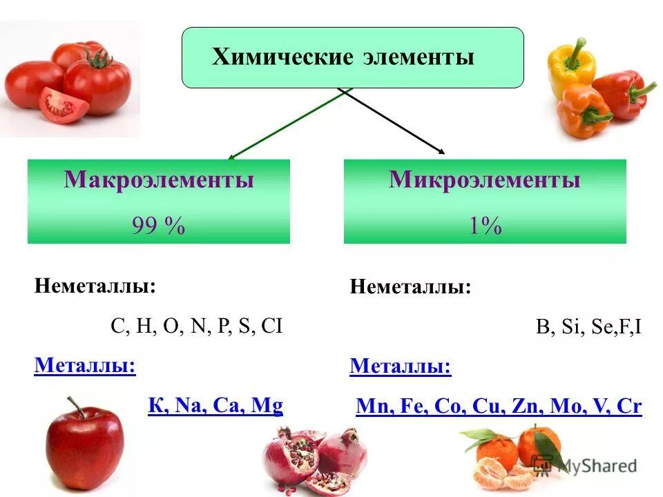 Белок является микроэлементом. Химические элементы макроэлементы и микроэлементы. Макроэлементы микроэлементы и ультрамикроэлементы. Макроэлементы 2) микроэлементы. Макроэлементы и микроэлементы в организме человека.