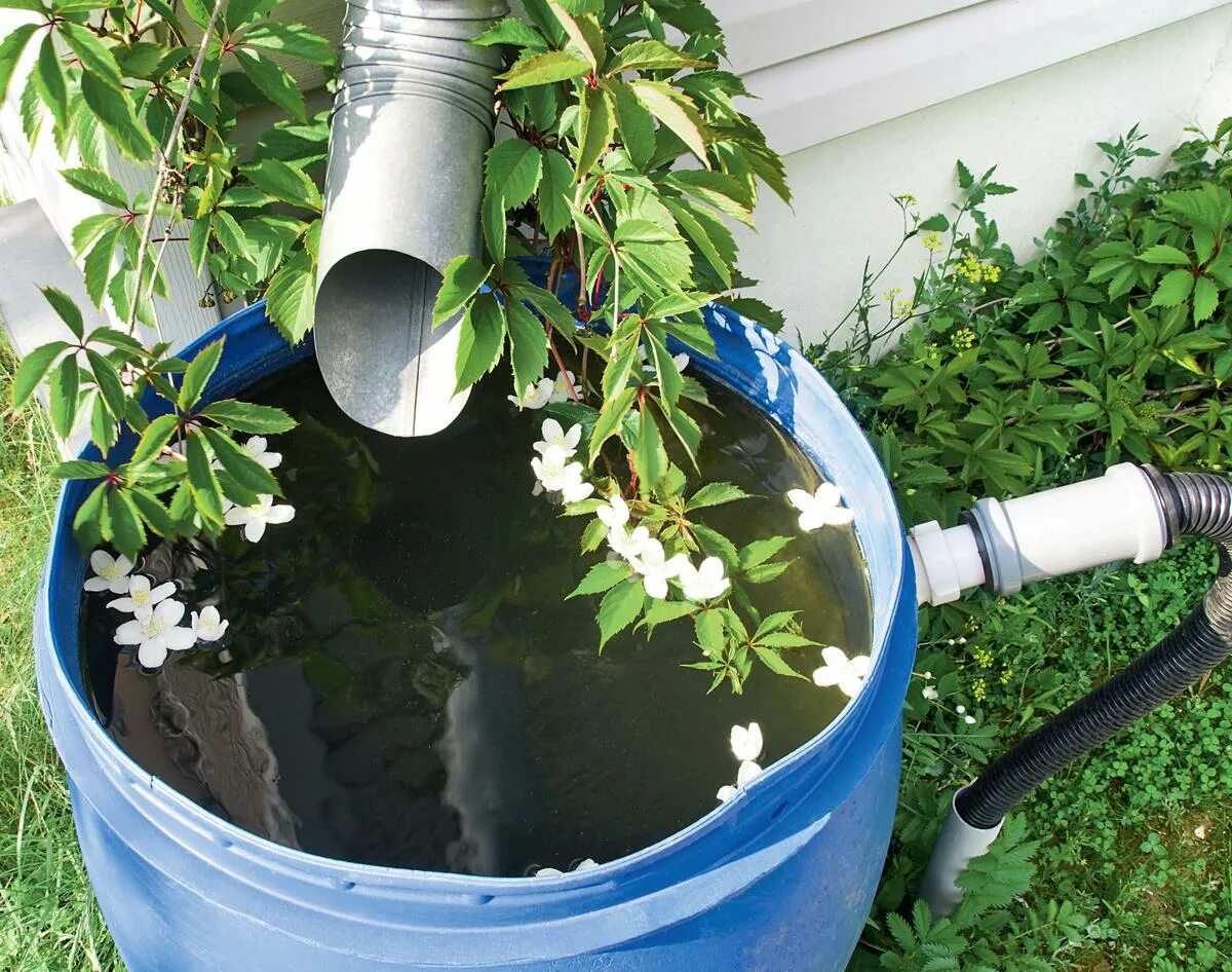 Бочка для воды на дачу. Вылить воду из бочки. Gardena 4000/2 comfort. Фильтр для сбора дождевой воды. Дождевая бочка rain barrel.