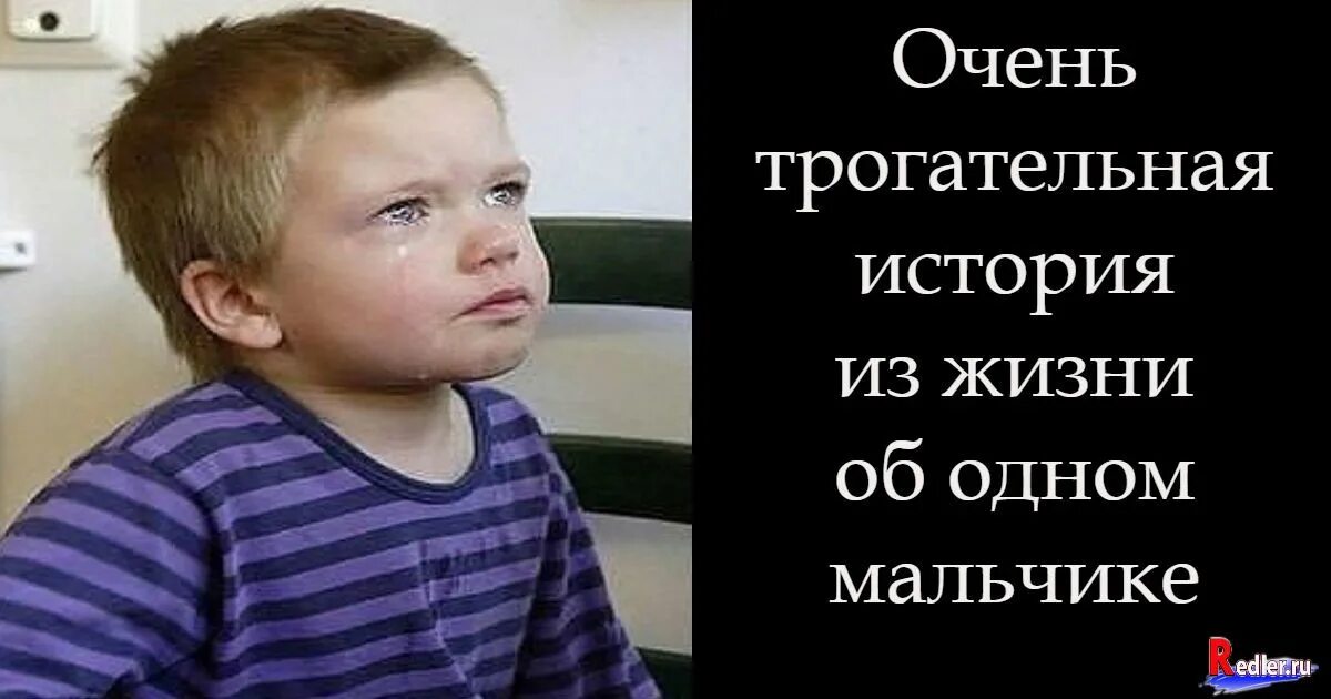 Трогательные истории короткие. Трогательные истории. Какая трогательная история жалко что. Очень трогательная история. Трогательные истории.