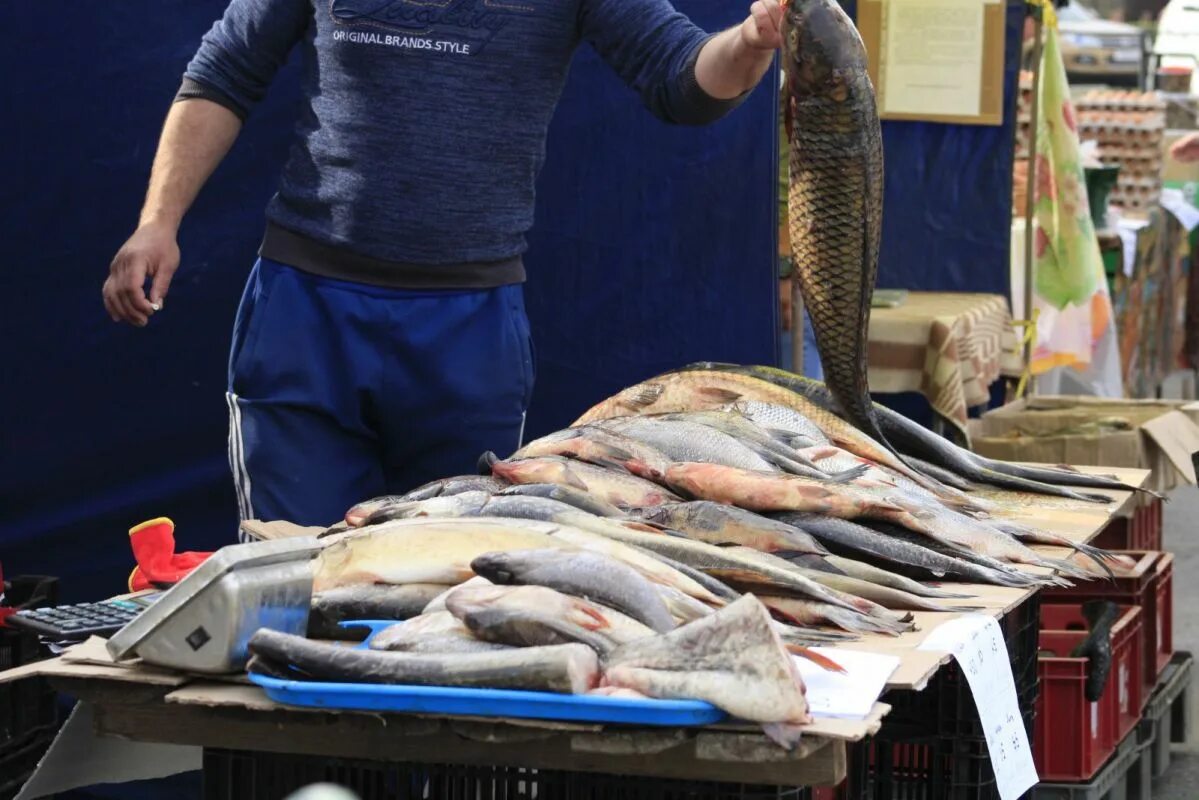 Какая рыба в астрахани в апреле. Рынок кутум Астрахань. Ярмарка кутум в Астрахани. Рыба на рынке. Рыбная ярмарка.