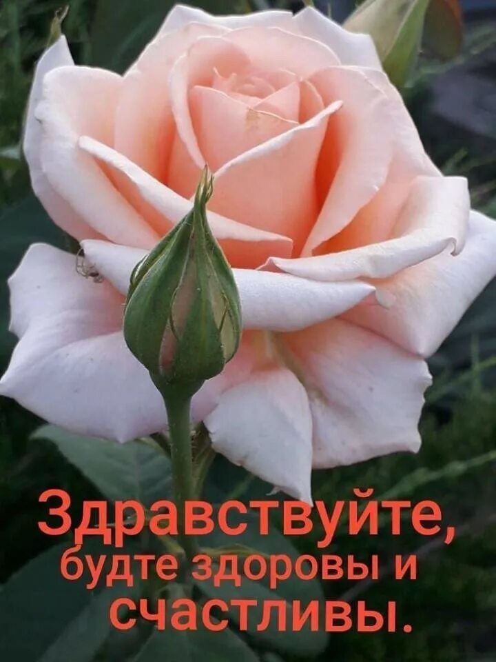 Будьте здоровы и богом хранимы доброе утро. Будьте здоровы и счастливы. доброе утро будьте здоровы и счастливы. открытки будьте здоровы и счастливы. будь здорова и счастлива.