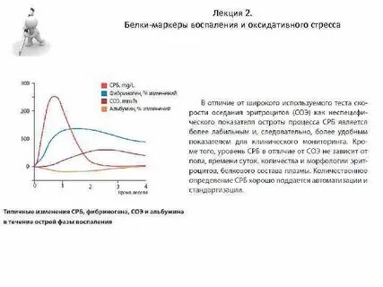 Форум срб