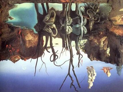 Salvador dali swans reflecting elephants