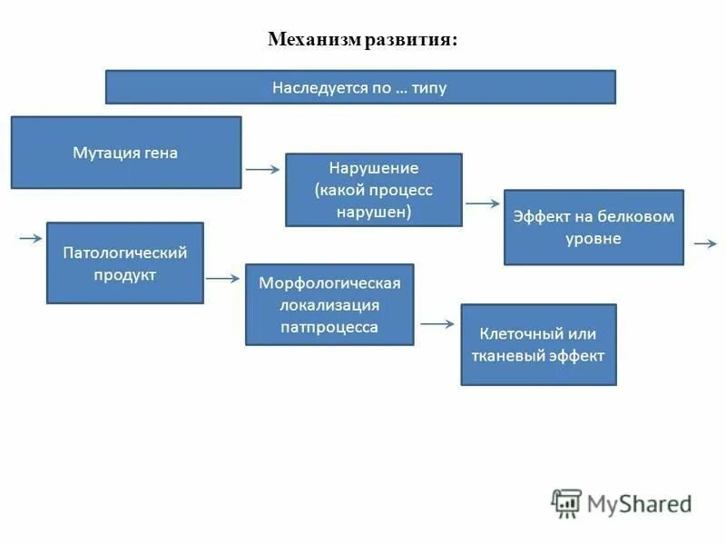 Элементарный материал эволюции. Мутационный процесс. Процесс формирования мутаций. Процесс формирования мутаций. Какова роль мутаций в эволюции.
