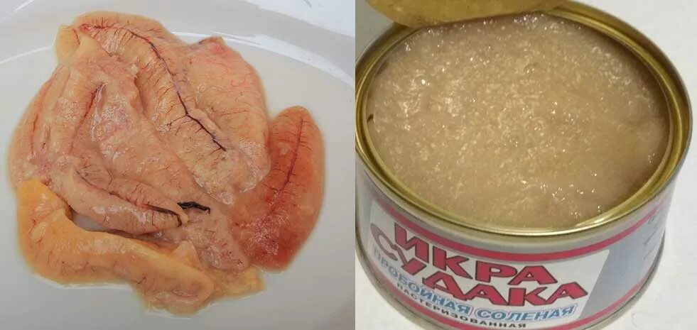 Как приготовить икру судака. Как приготовить икру судака. Икра судака жареная. Жареная рыбная икра. Как приготовить икру судака.