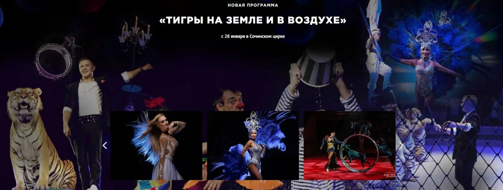Цирк в сочи 2025 расписание. Цирк полины запашной. олимпийский тигр.