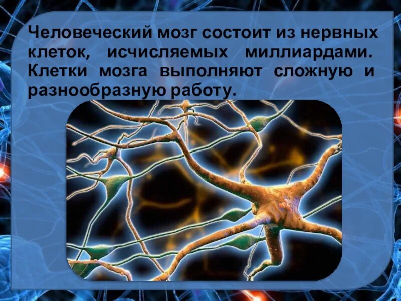 Мозг человека состоит из нейронов. Клетки мозга. Клетки головного мозга. Нейроны головного мозга. Строение клетки мозга.