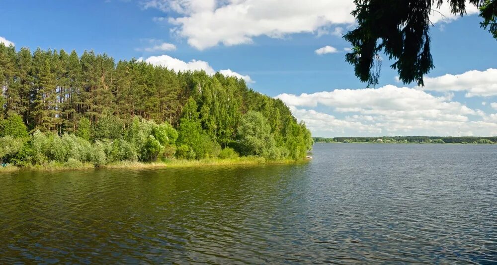 Можайское водохранилище. Можайское озеро. Навимор Можайское водохранилище. Можайское водохранилище Московская область. Иваньковский водоем