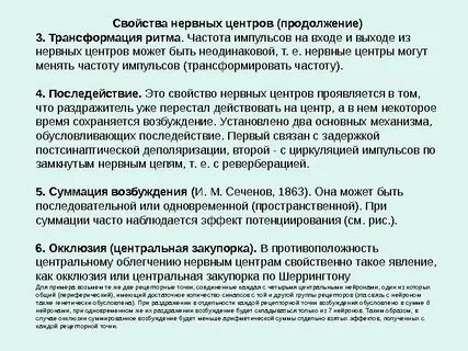 Основные возбуждения
