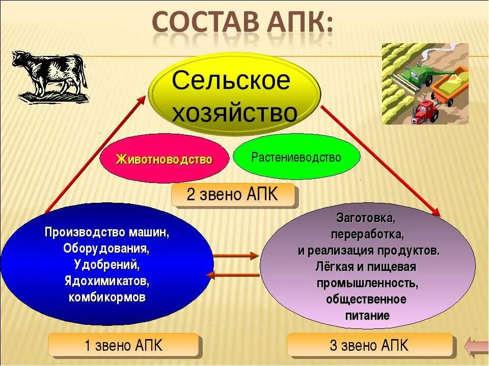 Состав отрасли сельского хозяйства комплекса. 2 Звено АПК агропромышленный комплекс. Состав АПК. Структура агропромышленного комплекса