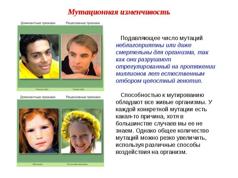 Изменчивость виды изменчивости мутации. Мутационная изменчивость человека. мутационная изменчивость примеры. наследственная изменчивость мутационная. мутационная изменчивость примеры у человека.