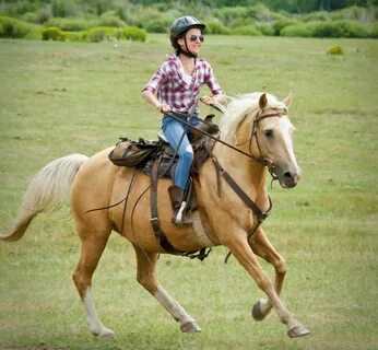 Ride horse have you ever ridden