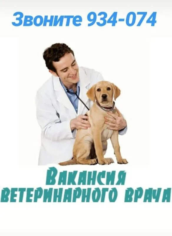 ветеринарная клиника. вакансия ветеринарный. ищем врача ветеринара. вакансия ветеринарный. ветеринарная клиника для животных.