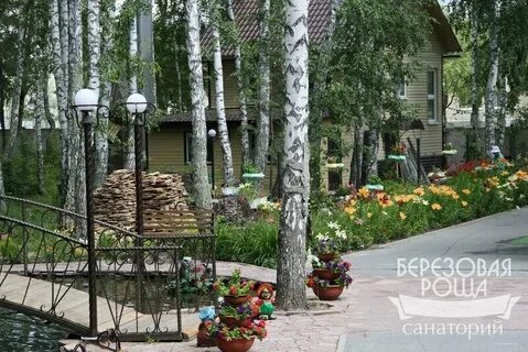 Сан березовая роща