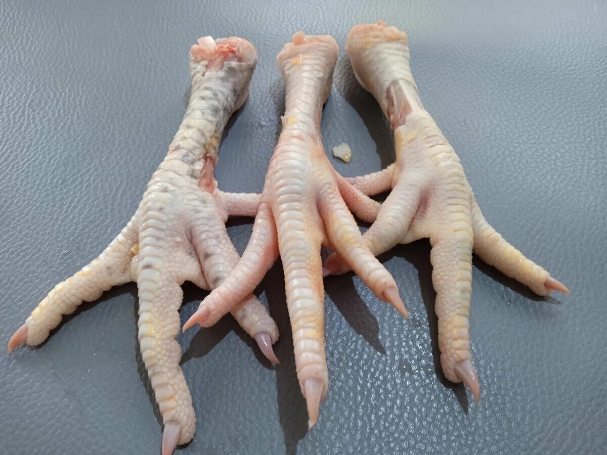 Куриные лапки кошке. Куриные лапки кошке. Куриные лапки кошке. Колготки с куриными лапами. Кот куриная ножка.