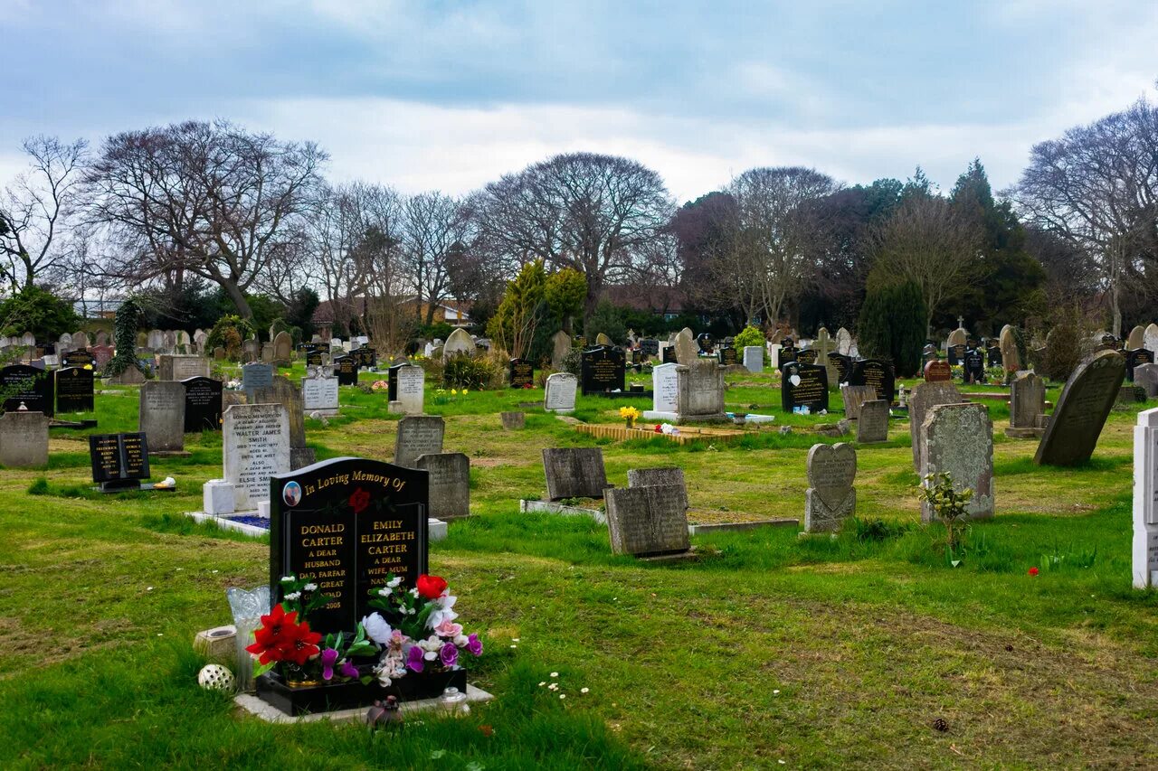 бобби кристина браун похороны. сектор газа на могилках пьют. кенты на могилках. кристина браун могила. две могилы эстетика.