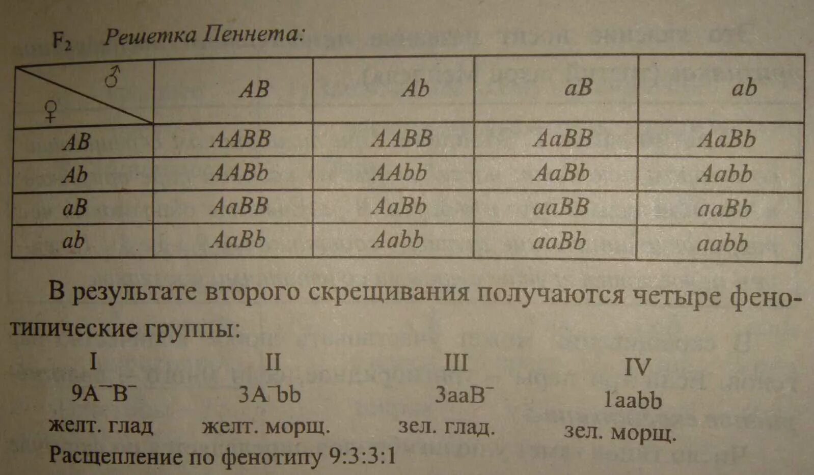 Анализ фенотипов потомков подбор исходных родительских форм