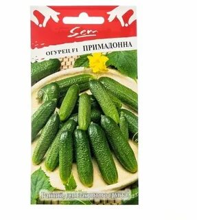 Огурец примадонна