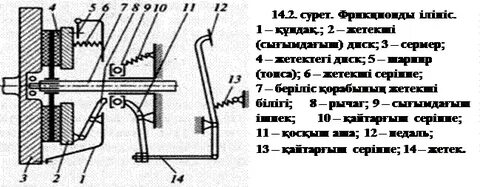 Трусикидегі жас қыздардың бөкселерінің порносы