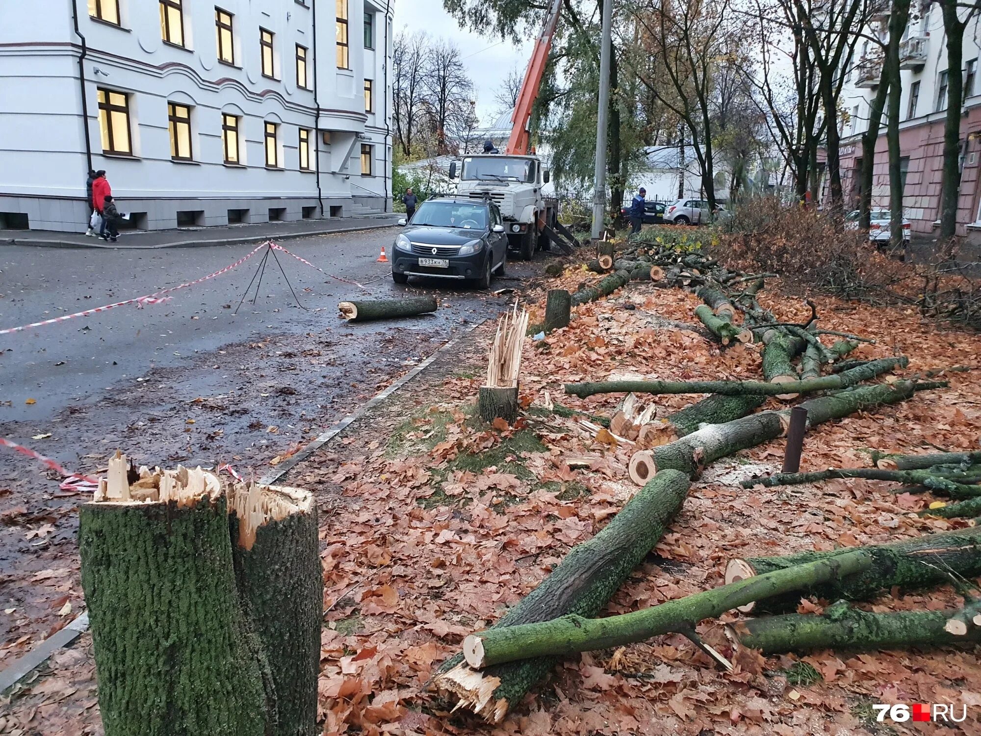 Вырубка деревьев на генерала карбышева. Спиленное дерево. вырубленные деревья. вырубка деревьев. вырубка деревьев в городе.