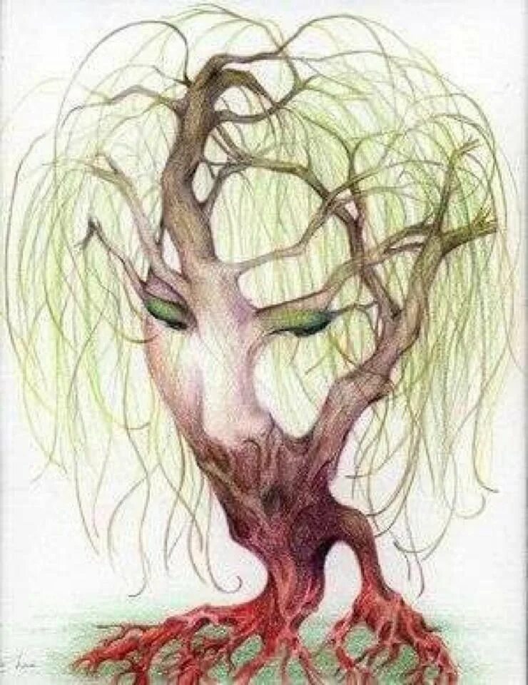 Картинки лицо дерево. Дерево в виде человека. Дерево в виде головы. Дерево в башке. Ветвистое дерево в виде девушки.