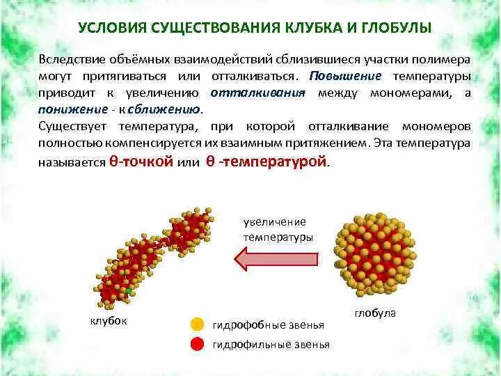 Глобула (полимеры). Переход клубок глобула. Полимерная глобула. Конформации биомакромолекул.