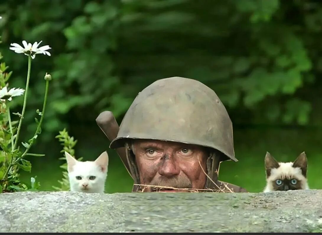 Медведь мем. Медведь мем. Куст мем. Куст прикол. Гамер симсон вкустах.