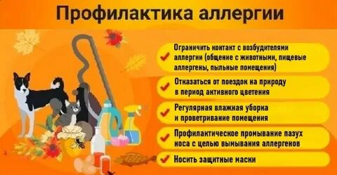 У кого может быть аллергия